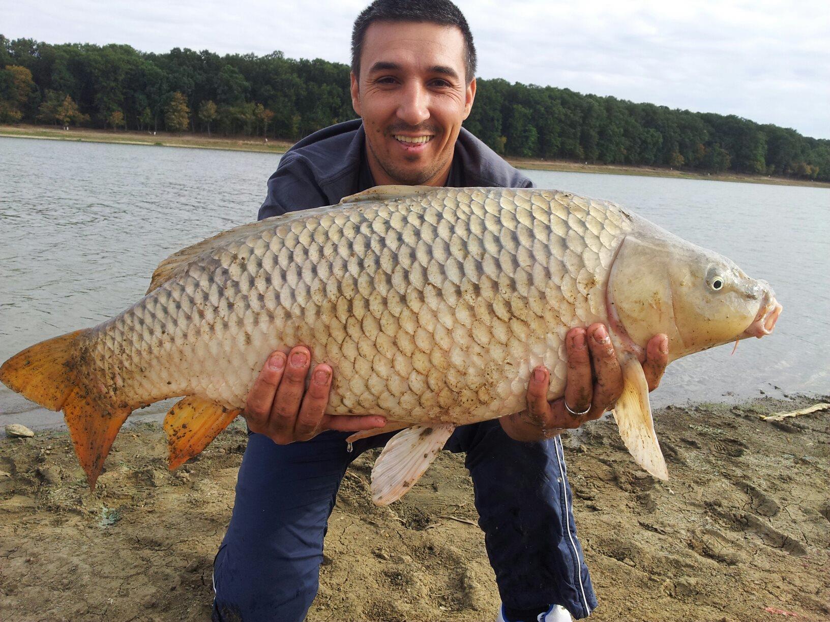 Cetariu 16 - 16 sep. 2012 - 204669_467901343244389_1820885675_o.jpg